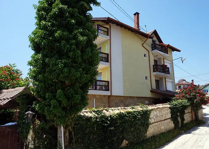 Margarita Hotel
